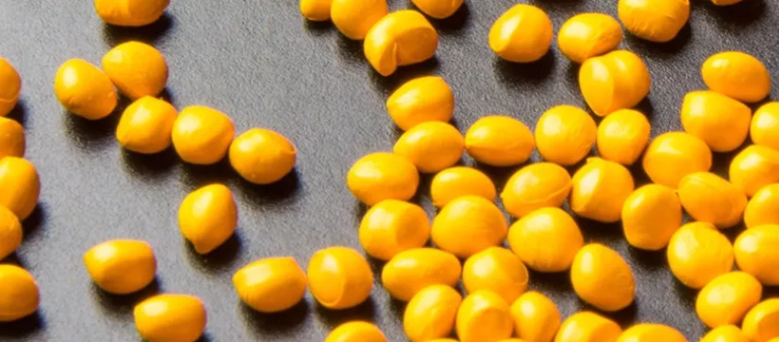 /ueditor/jsp/upload/image/20200205/1580861748335056438.png /ueditor/jsp/upload/image/20200205/1580861748335056438.png