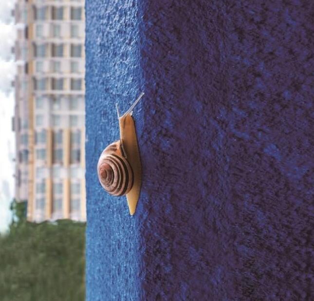 /ueditor/jsp/upload/image/20200108/1578445226406056470.jpg /ueditor/jsp/upload/image/20200108/1578445226406056470.jpg